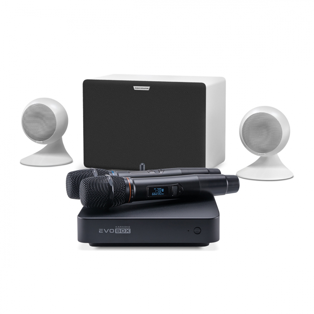 караоке-комплект EVOBOX Classic + EvoSound Sphere 2.1 в Хасавюрте
