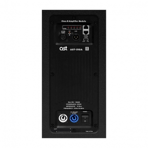 Активная акустическая система AST-310A в Хасавюрте