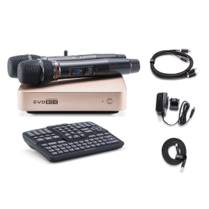 EVOBOX Classic караоке-система для дома в Хасавюрте