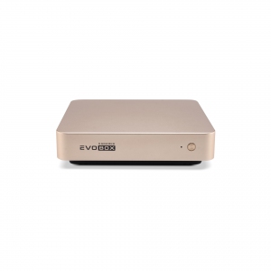 EVOBOX с микрофонами в Хасавюрте